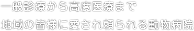 一般診療から高度医療まで地域の皆様に愛され頼られる動物病院